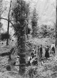 The Paeroa Camera Club, c 1900